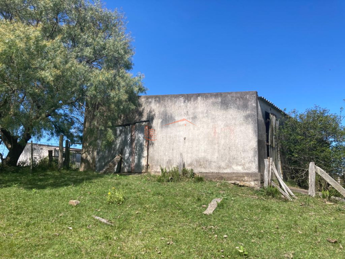 Venta de Campo en Rocha 127 has campo ganadero - GoPunta - Portal Inmobiliario de Punta del Este - Maldonado
