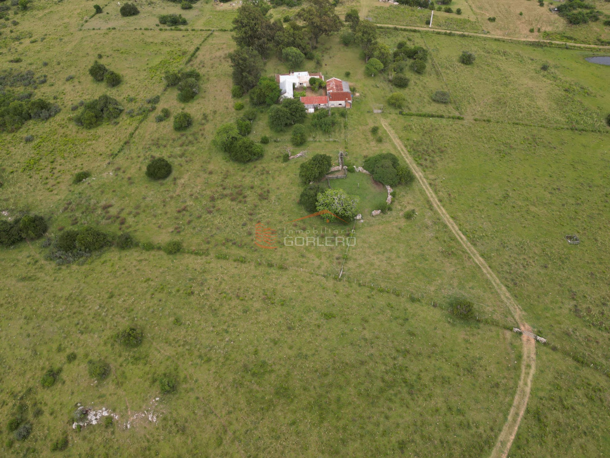 Maldonado, Ruta 39  fracción de 65 hás con proyecto de fraccionamiento - GoPunta - Portal Inmobiliario de Punta del Este - Maldonado