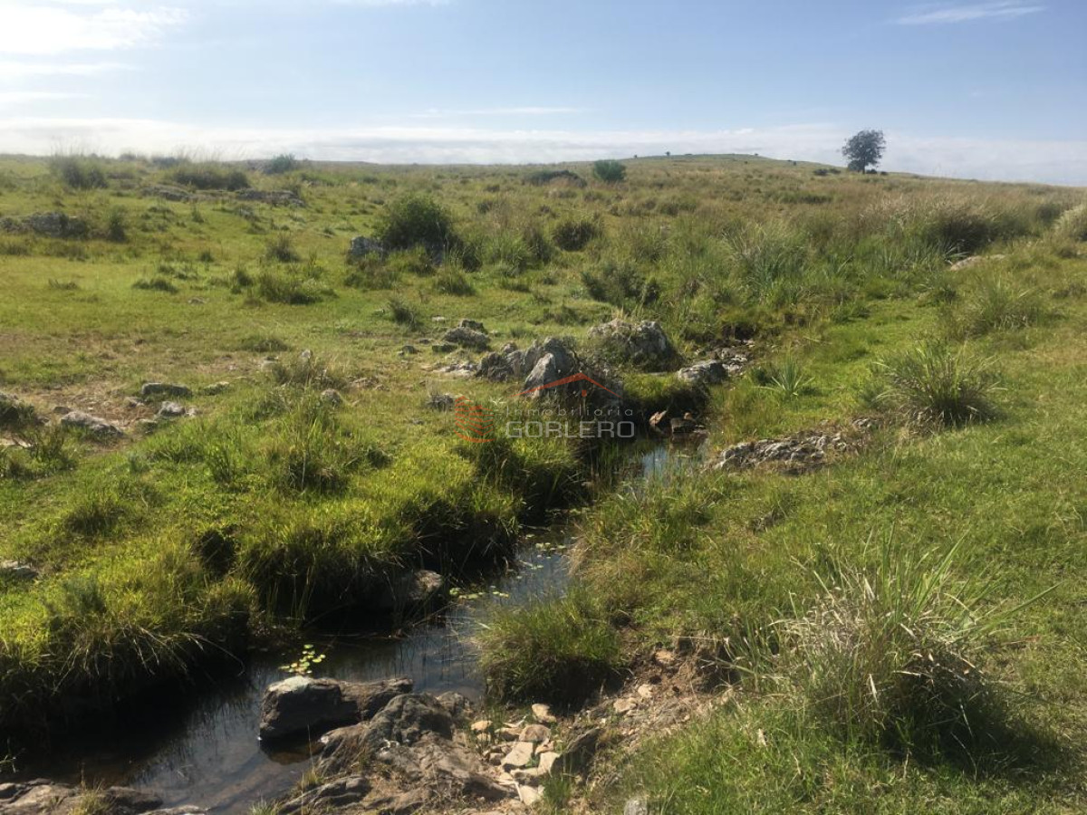 Rocha, venta de campo 160 has ganadero - GoPunta - Portal Inmobiliario de Punta del Este - Maldonado