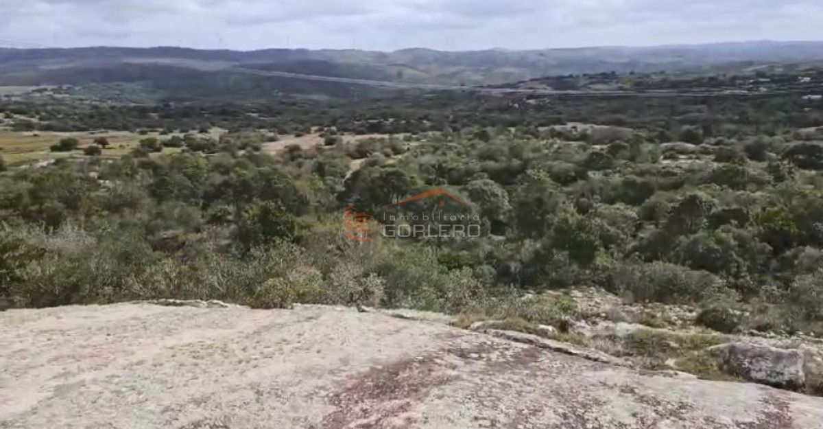 Venta de Campo en Maldonado   Zona de Sierras muy próximo a RUTA 39 - GoPunta - Portal Inmobiliario de Punta del Este - Maldonado