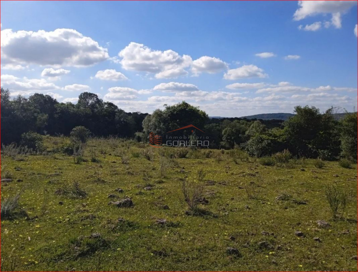 MALDONADO   Venta de campo con costa !! Zona de Aiguá 41 has - GoPunta - Portal Inmobiliario de Punta del Este - Maldonado