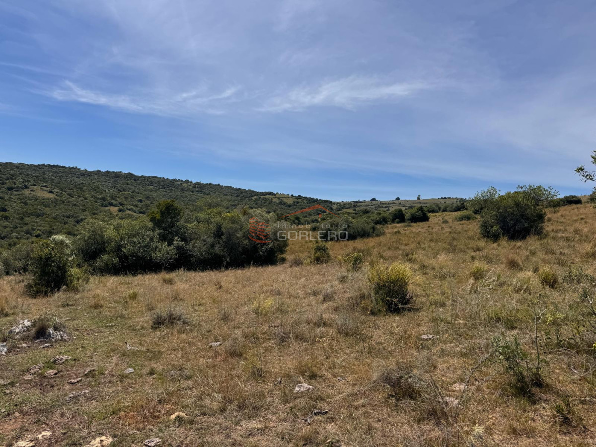 Campo en Lavalleja, zona Campanero, 30 has con cañadas permanente - GoPunta - Portal Inmobiliario de Punta del Este - Maldonado