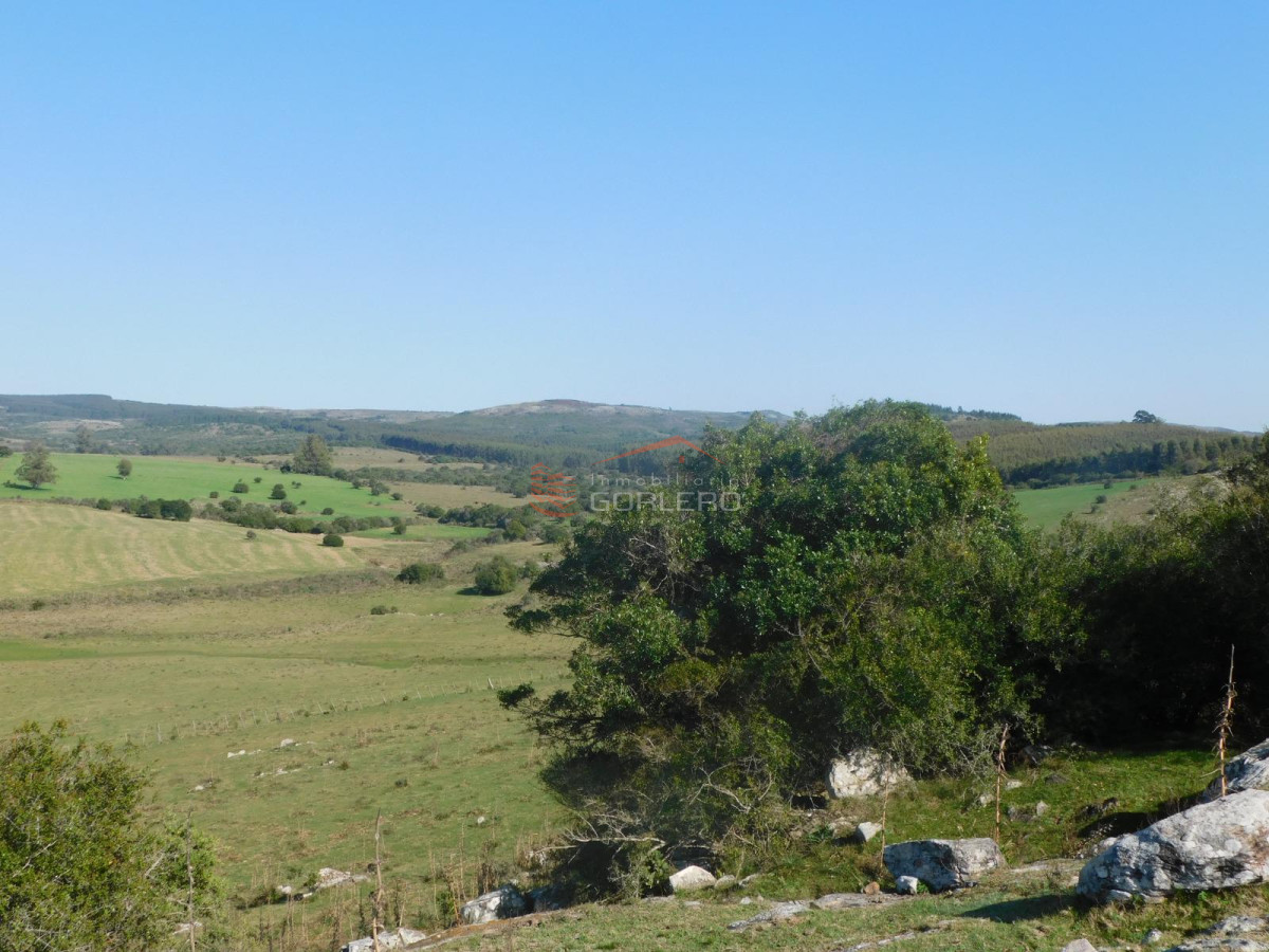 Venta de Campo en Ruta 12 próximo a Pueblo Edén 270 hás - GoPunta - Portal Inmobiliario de Punta del Este - Maldonado