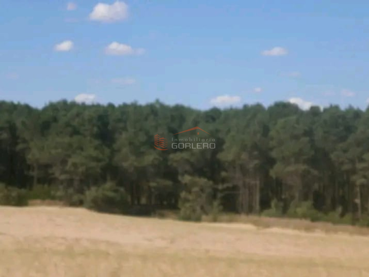 Venta de 38 hás sobre la costa de Rocha - GoPunta - Portal Inmobiliario de Punta del Este - Maldonado