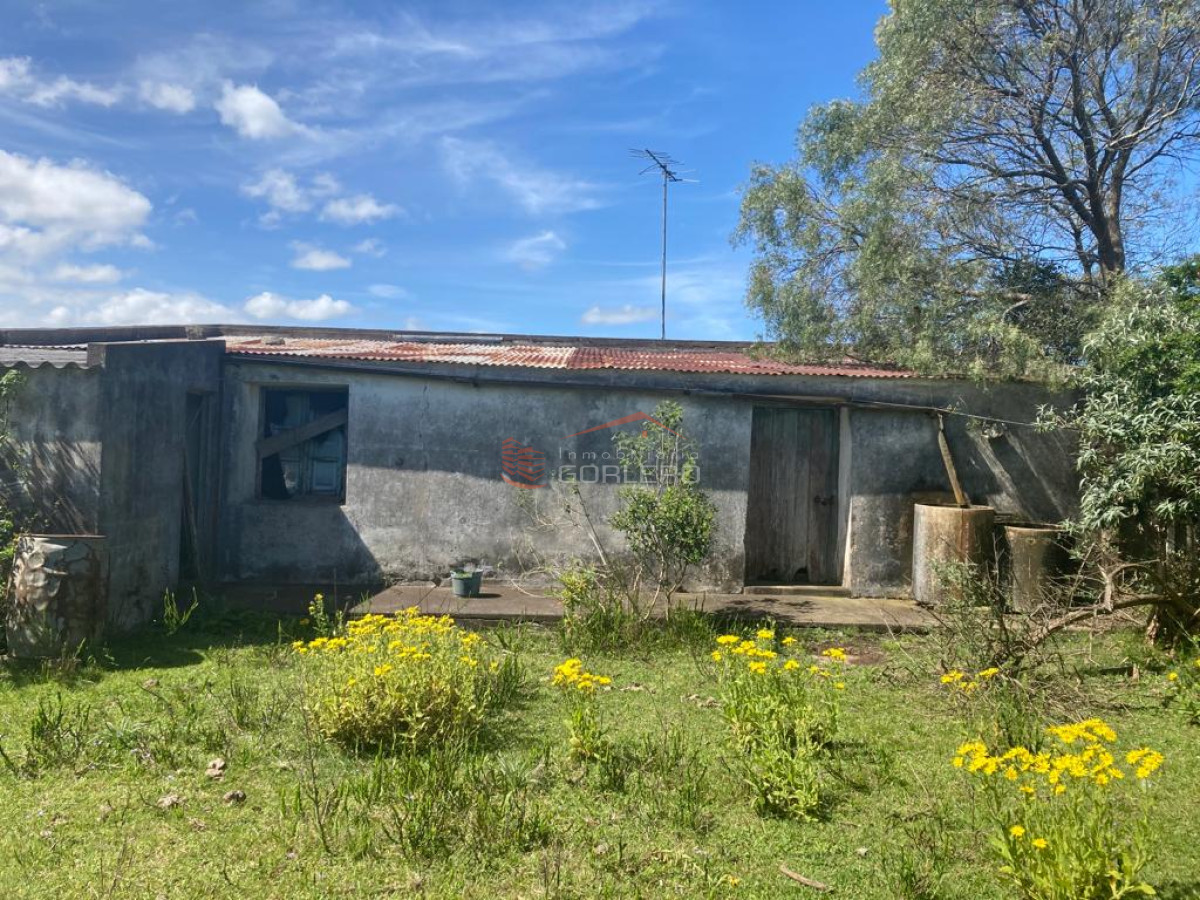 Venta de Campo en Rocha 127 has campo ganadero - GoPunta - Portal Inmobiliario de Punta del Este - Maldonado