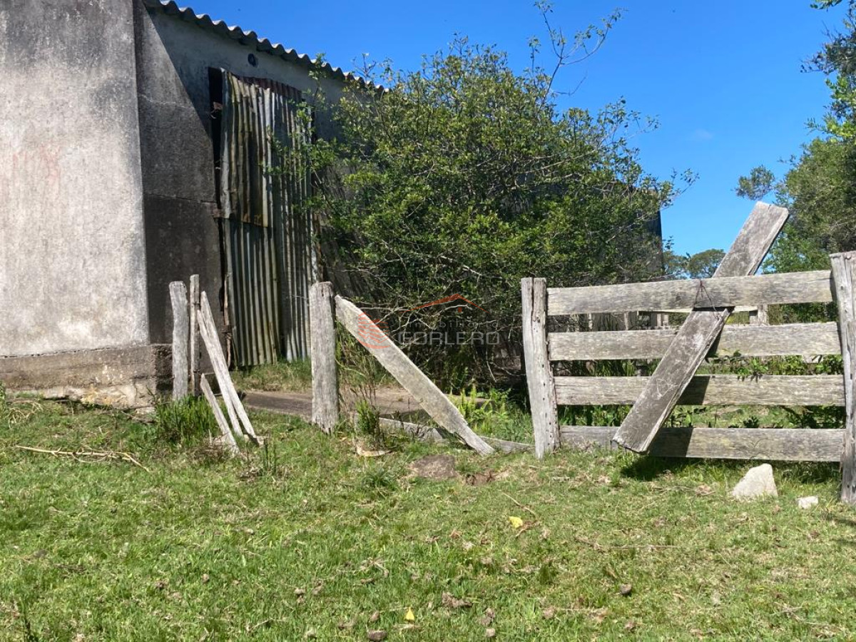 Venta de Campo en Rocha 127 has campo ganadero - GoPunta - Portal Inmobiliario de Punta del Este - Maldonado