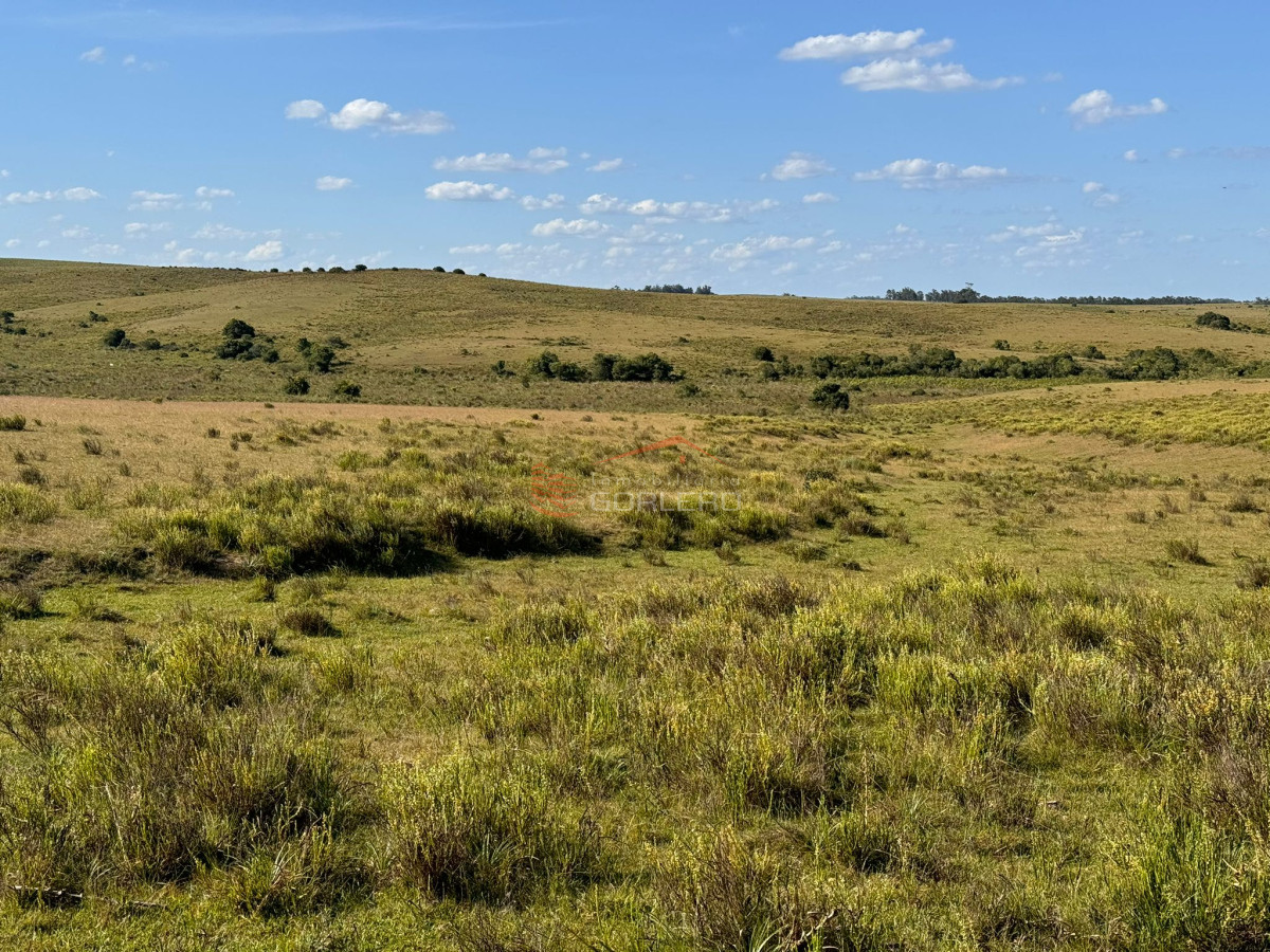 Venta de campo en Rocha, a pocos km de Garzón y de ciudad de Rocha - GoPunta - Portal Inmobiliario de Punta del Este - Maldonado