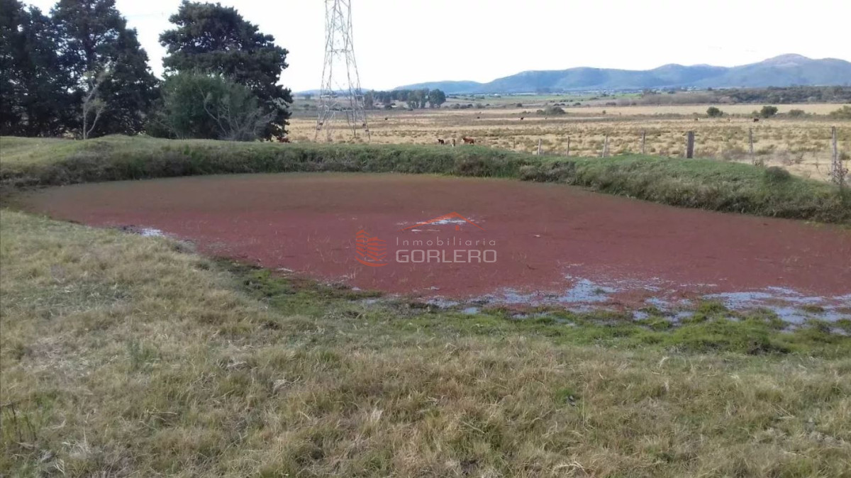 Campo en Uruguay, Maldonado, Solis - GoPunta - Portal Inmobiliario de Punta del Este - Maldonado