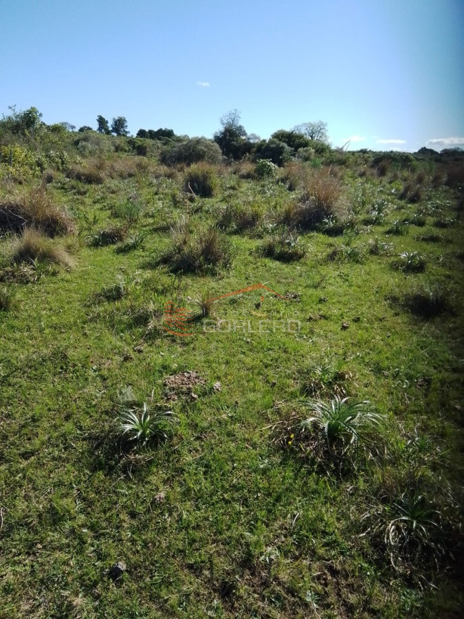 Rocha, campo ganadero con 78 has - GoPunta - Portal Inmobiliario de Punta del Este - Maldonado