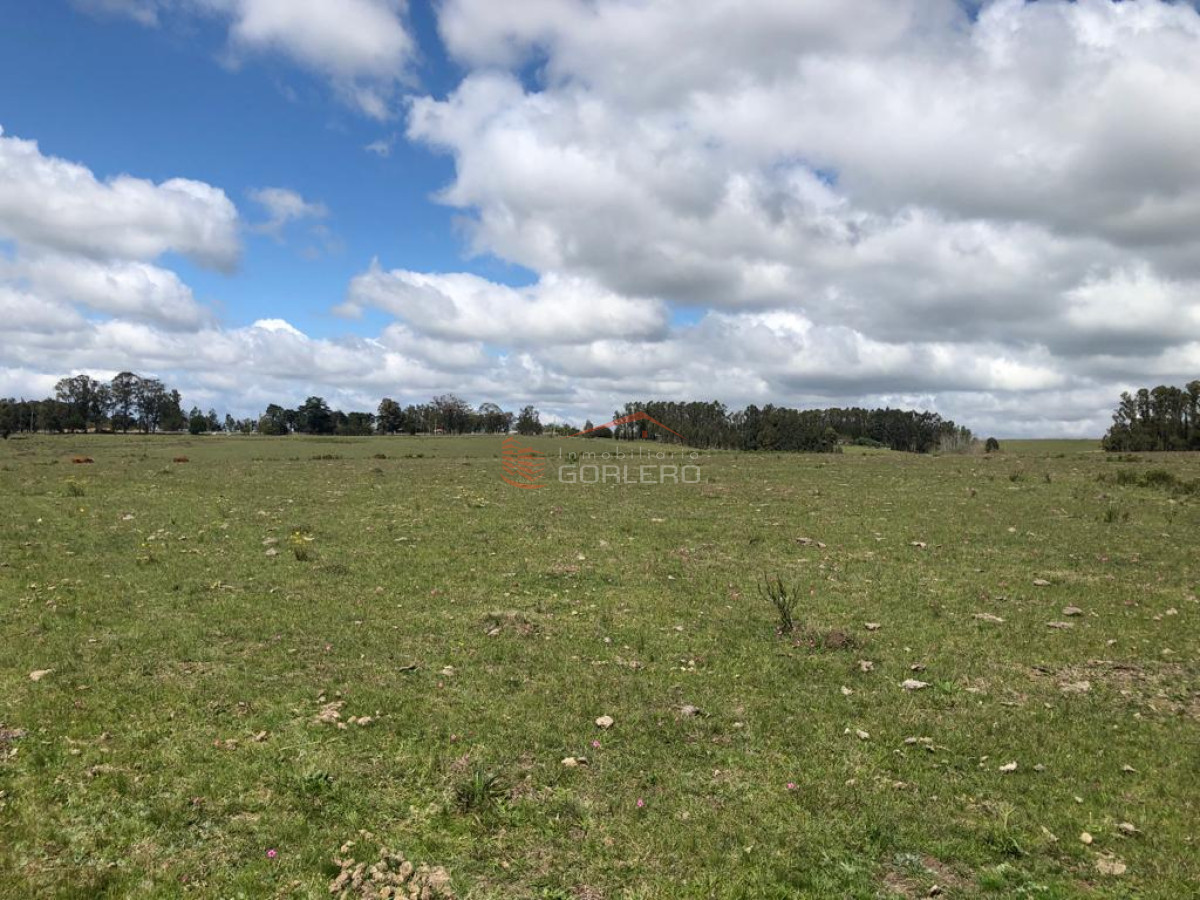 Maldonado, Sobre Ruta 9 a 150 km de Montevideo, cañada, monte - GoPunta - Portal Inmobiliario de Punta del Este - Maldonado