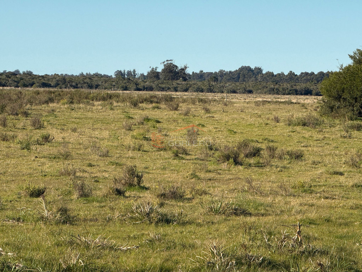 Campo en Venta en  Rocha,  Excelente ubicación, con arroyo, mejorado - GoPunta - Portal Inmobiliario de Punta del Este - Maldonado