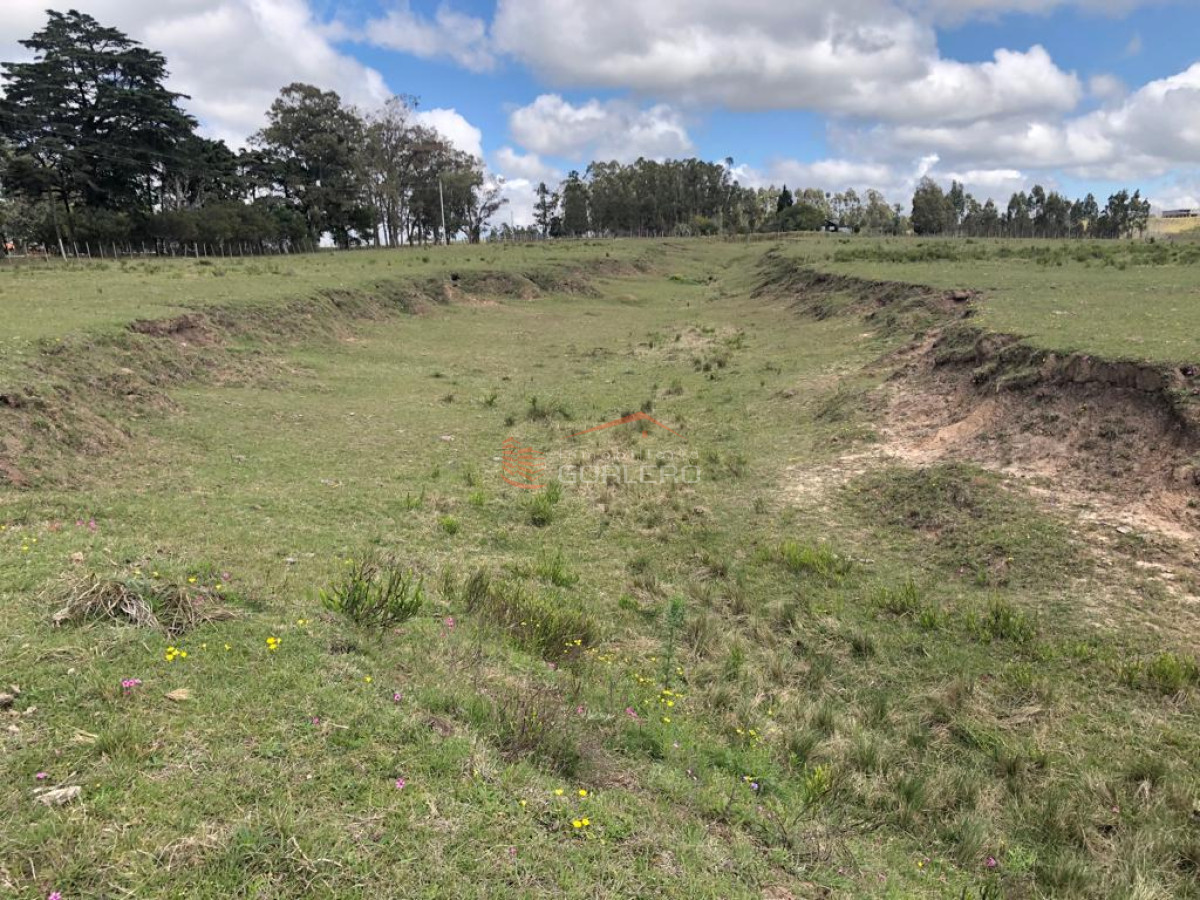 Maldonado, Sobre Ruta 9 a 150 km de Montevideo, cañada, monte - GoPunta - Portal Inmobiliario de Punta del Este - Maldonado