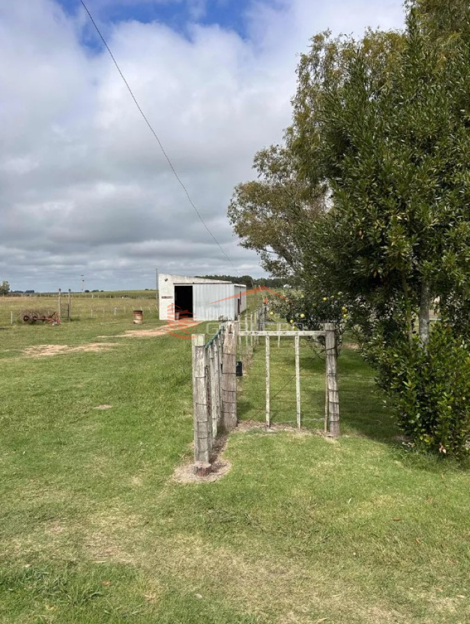 Campo  Ganadero en Florida, casi 100 hás - GoPunta - Portal Inmobiliario de Punta del Este - Maldonado