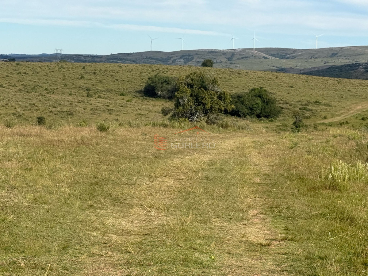 Maldonado, Ruta 39  fracción de 65 hás con proyecto de fraccionamiento - GoPunta - Portal Inmobiliario de Punta del Este - Maldonado