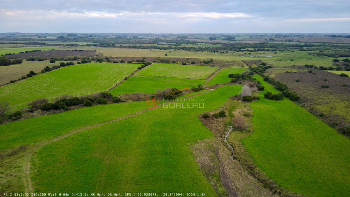 Venta de 70 has campo  en Canelones, - GOR28761P