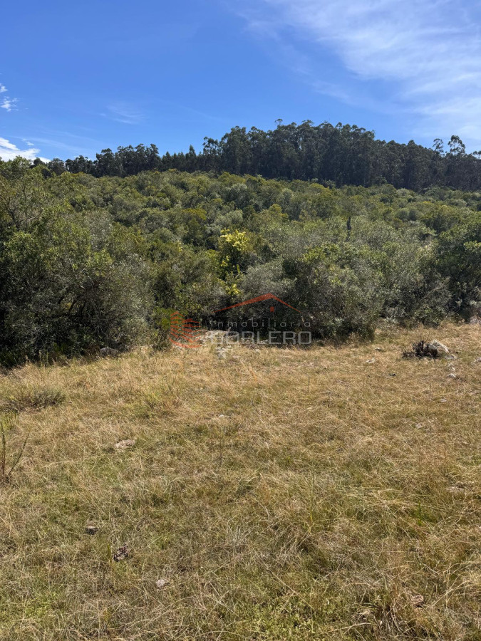 Campo en Lavalleja, zona Campanero, 30 has con cañadas permanente - GoPunta - Portal Inmobiliario de Punta del Este - Maldonado