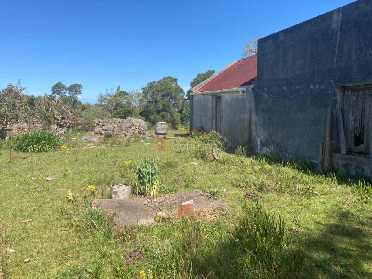 Venta de Campo en Rocha 127 has campo ganadero - GoPunta - Portal Inmobiliario de Punta del Este - Maldonado