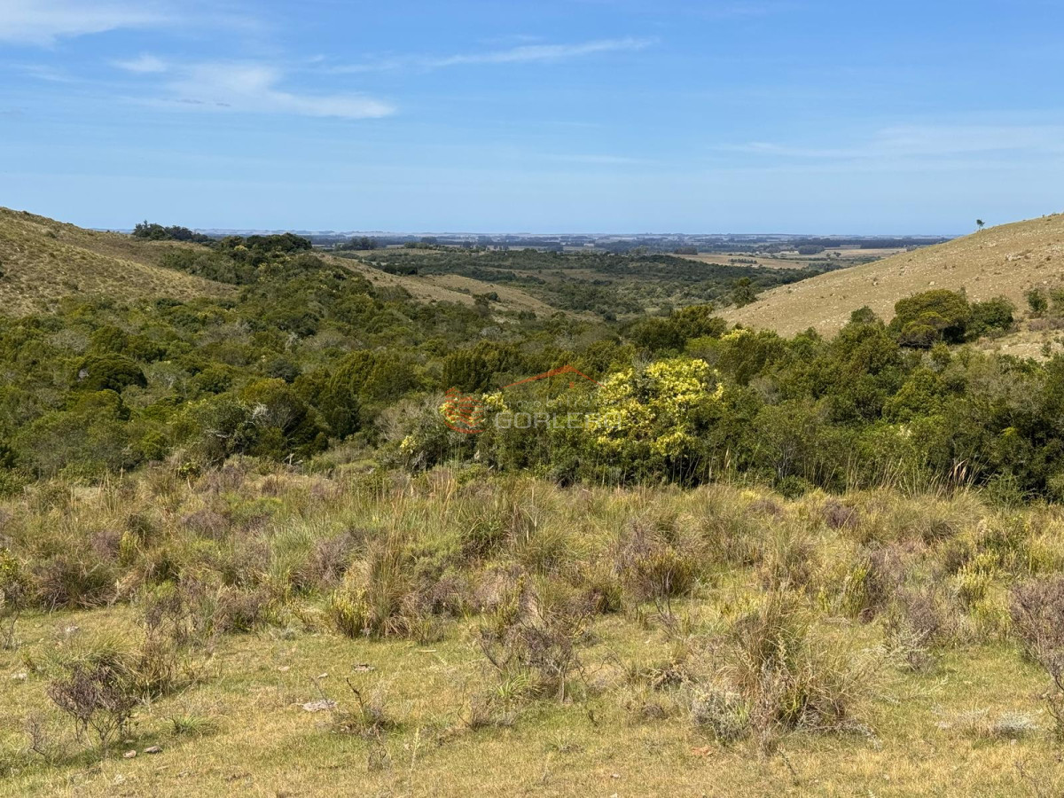ROCHA Campo con 32 hás a pocos km de la ciudad y de Garzón - GoPunta - Portal Inmobiliario de Punta del Este - Maldonado
