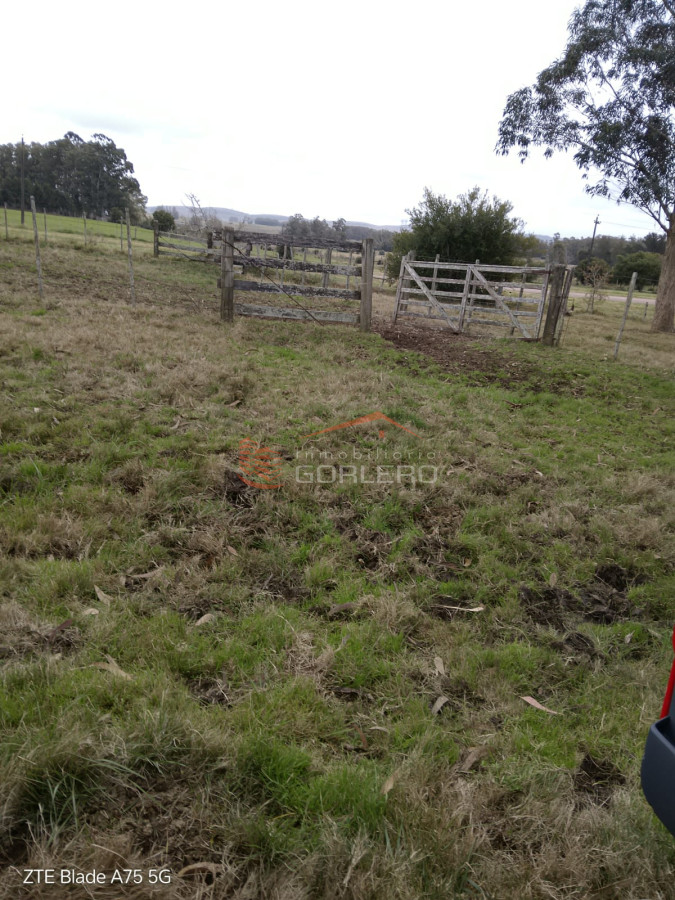 Oportunidad Chacra de 18 has a solo 20 Minutos de San Carlos - GoPunta - Portal Inmobiliario de Punta del Este - Maldonado