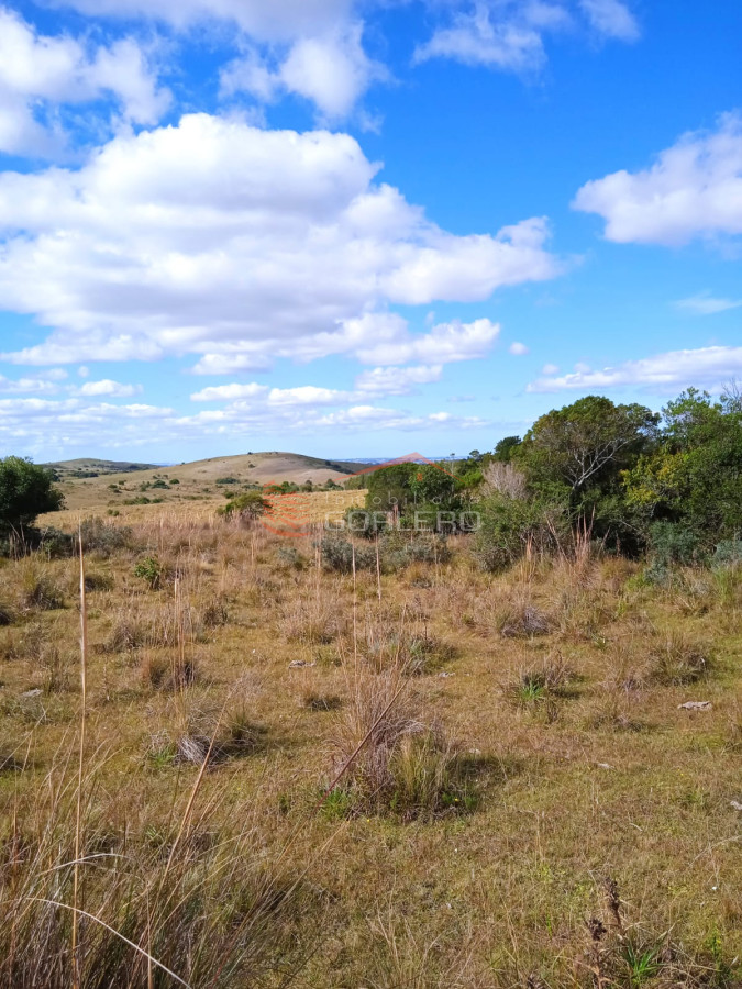 ROCHA Campo con 32 hás a pocos km de la ciudad y de Garzón - GoPunta - Portal Inmobiliario de Punta del Este - Maldonado