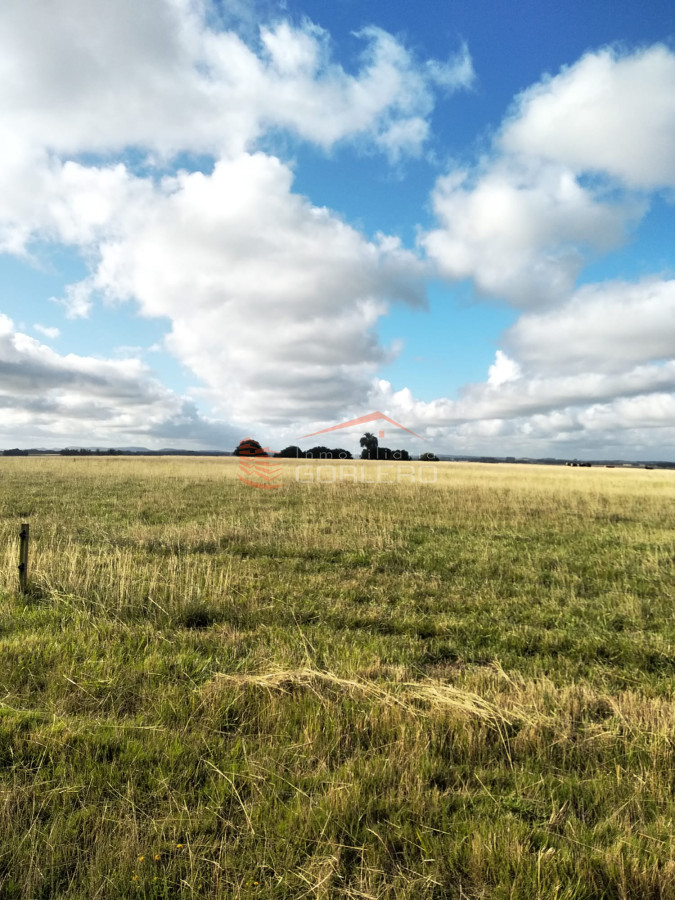 Venta de Campo en Rocha, a 10 min de La Paloma - GoPunta - Portal Inmobiliario de Punta del Este - Maldonado