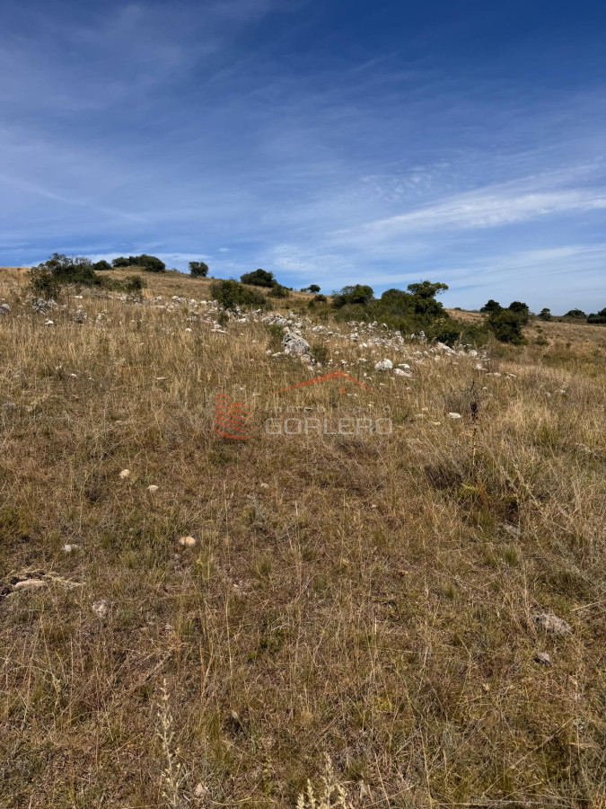 Campo en Lavalleja, zona Campanero, 30 has con cañadas permanente - GoPunta - Portal Inmobiliario de Punta del Este - Maldonado