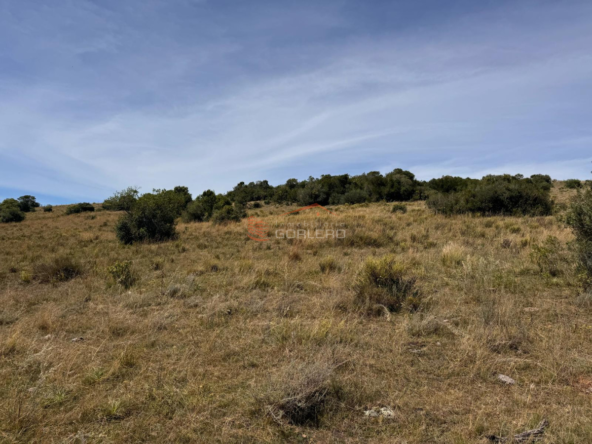 Campo en Lavalleja, zona Campanero, 30 has con cañadas permanente - GoPunta - Portal Inmobiliario de Punta del Este - Maldonado