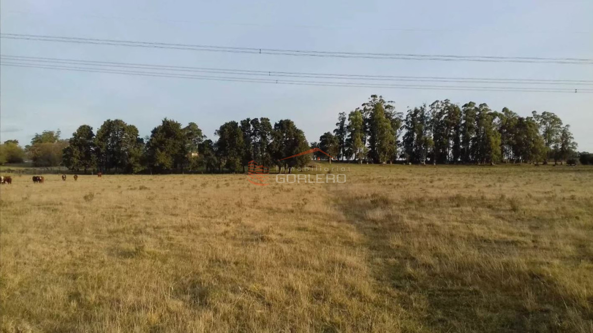 Campo en Uruguay, Maldonado, Solis - GoPunta - Portal Inmobiliario de Punta del Este - Maldonado