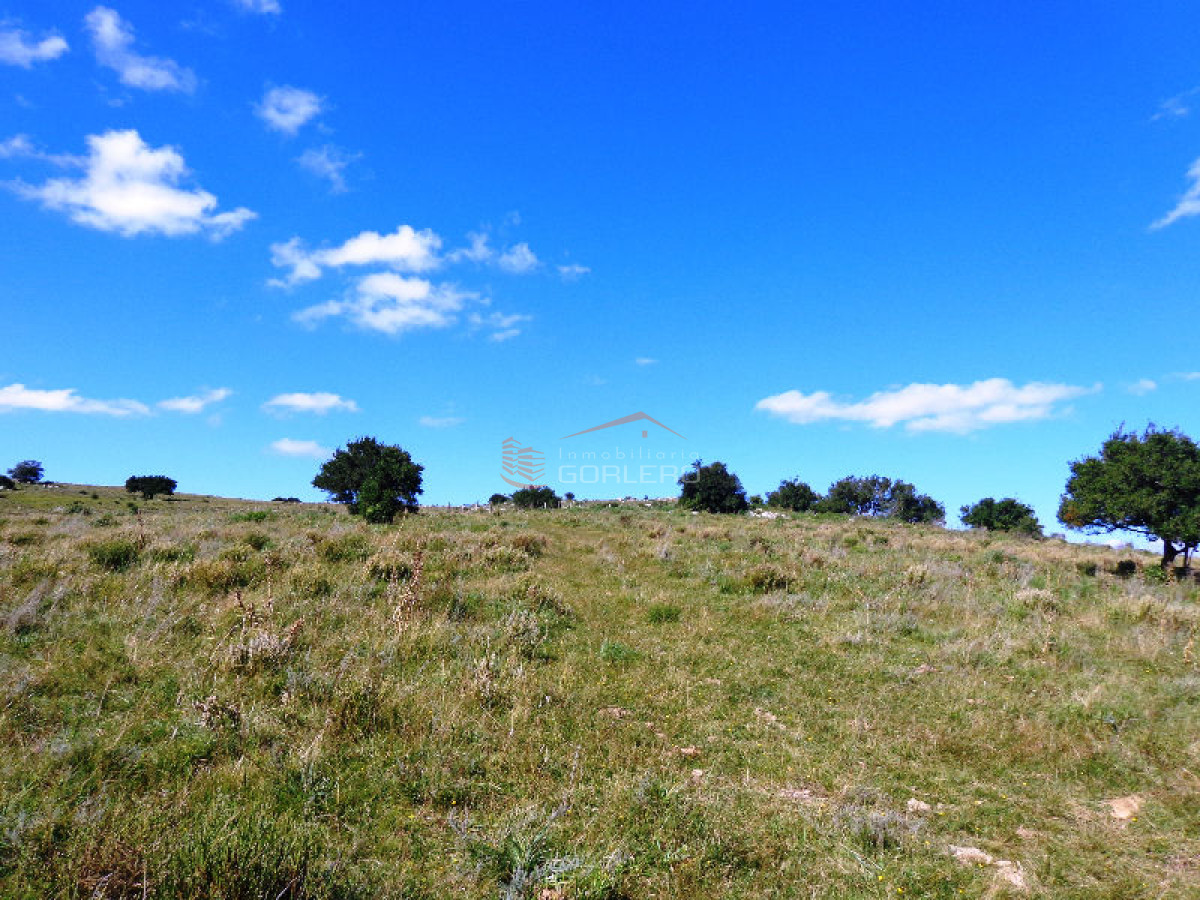 Venta de campo 25 hás a pocos km de Ruta 12, Espectacular paisaje! - GoPunta - Portal Inmobiliario de Punta del Este - Maldonado