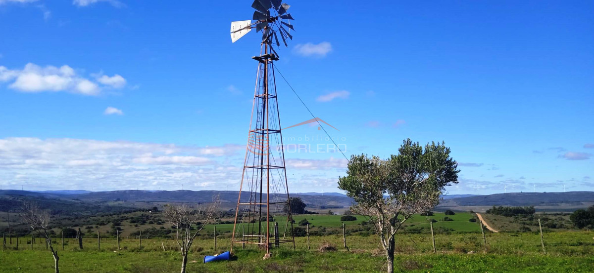 Campo en venta Uruguay, Maldonado a 60 km de Punta del Este - GoPunta - Portal Inmobiliario de Punta del Este - Maldonado