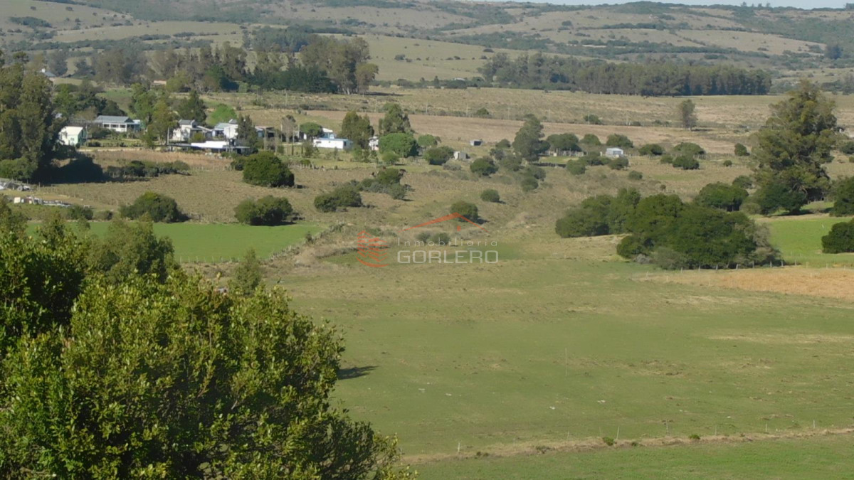 Venta de Campo en Ruta 12 próximo a Pueblo Edén 270 hás - GoPunta - Portal Inmobiliario de Punta del Este - Maldonado