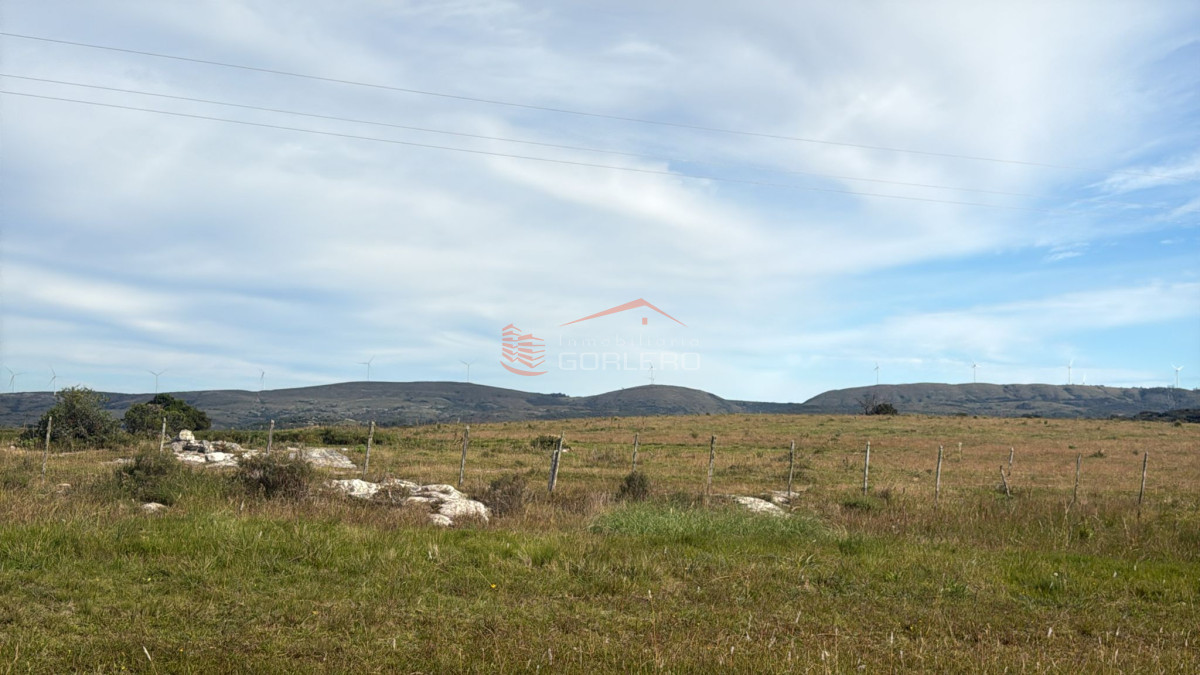 Maldonado, Ruta 39  fracción de 65 hás con proyecto de fraccionamiento - GoPunta - Portal Inmobiliario de Punta del Este - Maldonado