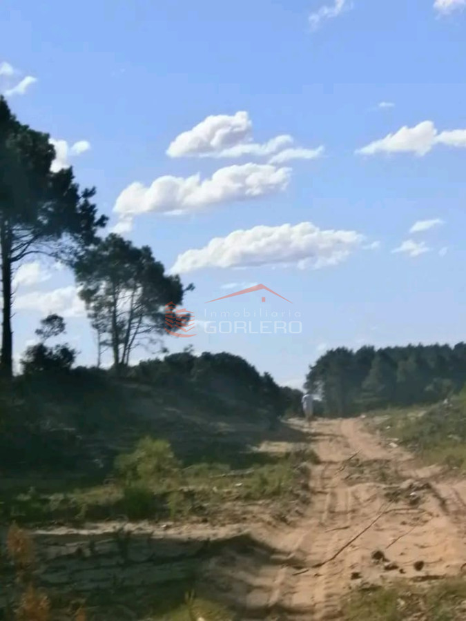 Venta de 38 hás sobre la costa de Rocha - GoPunta - Portal Inmobiliario de Punta del Este - Maldonado
