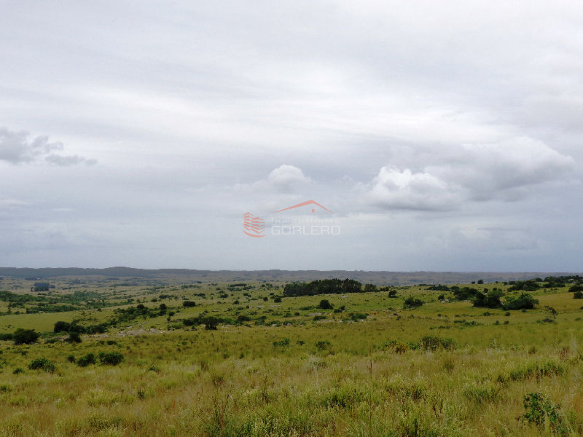 Chacra de 8 has en zona de Garzón - GoPunta - Portal Inmobiliario de Punta del Este - Maldonado