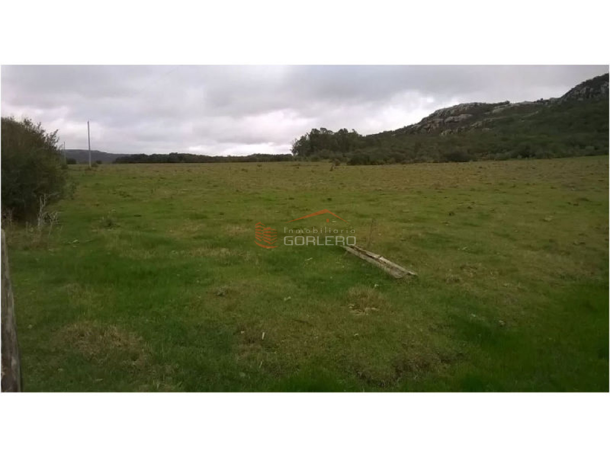 Campo en Venta en  Maldonado - GoPunta - Portal Inmobiliario de Punta del Este - Maldonado