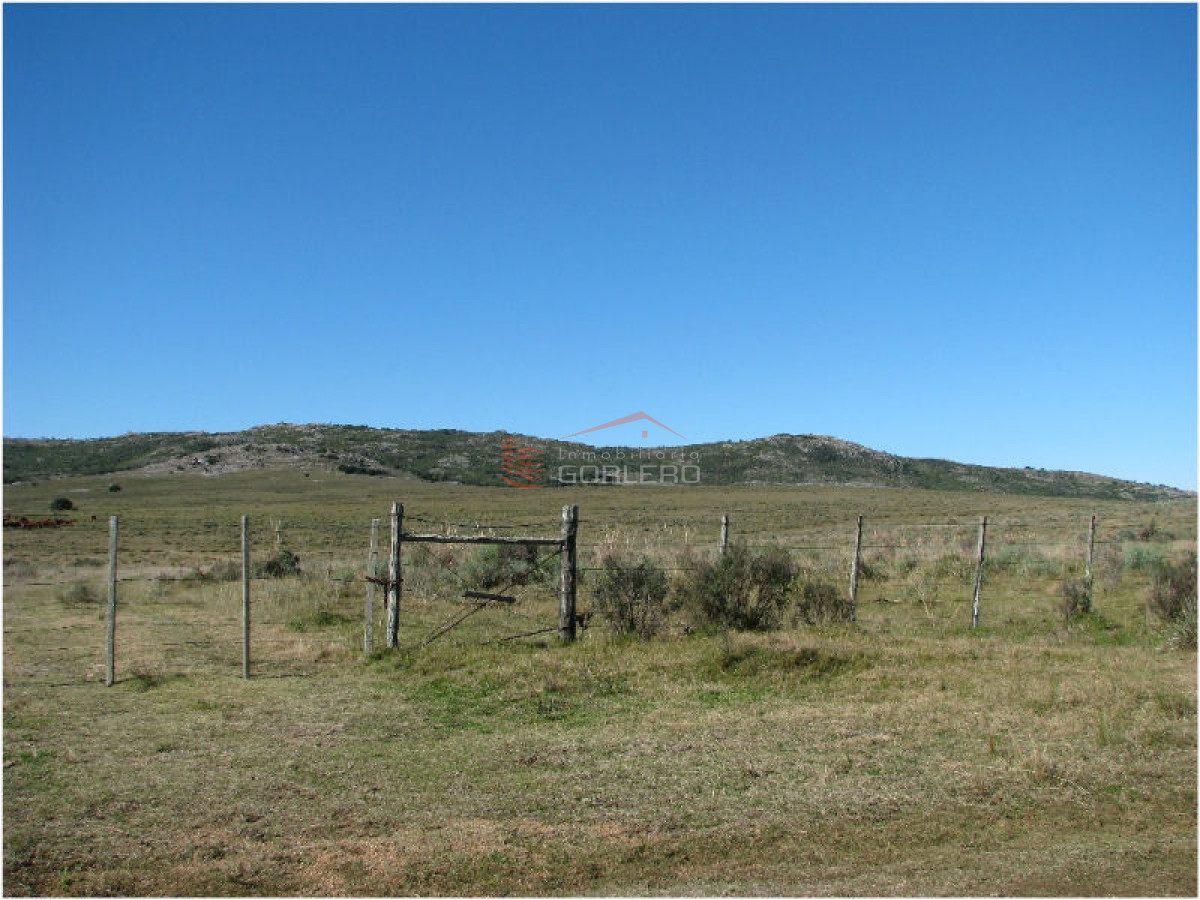 Campo en Venta en  Maldonado - GoPunta - Portal Inmobiliario de Punta del Este - Maldonado