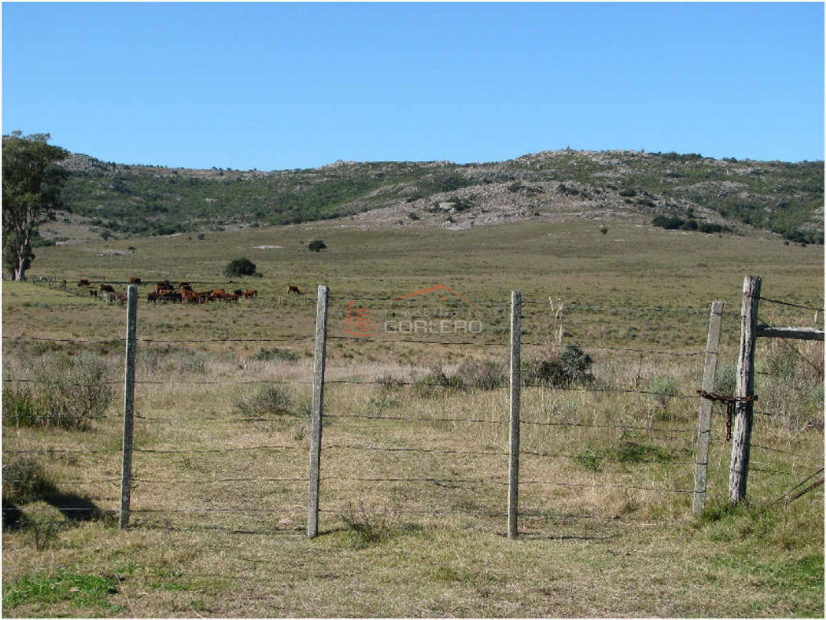 Campo en Venta en  Maldonado - GoPunta - Portal Inmobiliario de Punta del Este - Maldonado