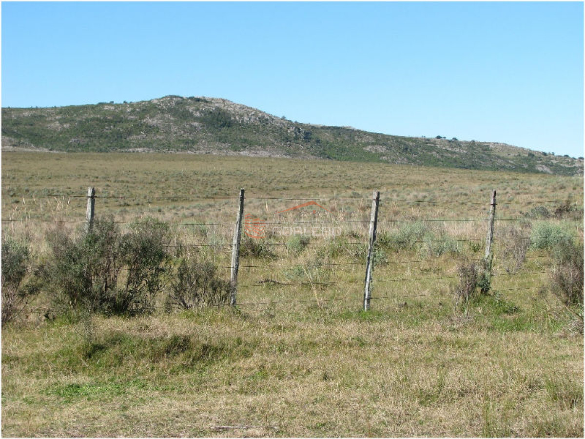 Campo en Venta en  Maldonado - GoPunta - Portal Inmobiliario de Punta del Este - Maldonado
