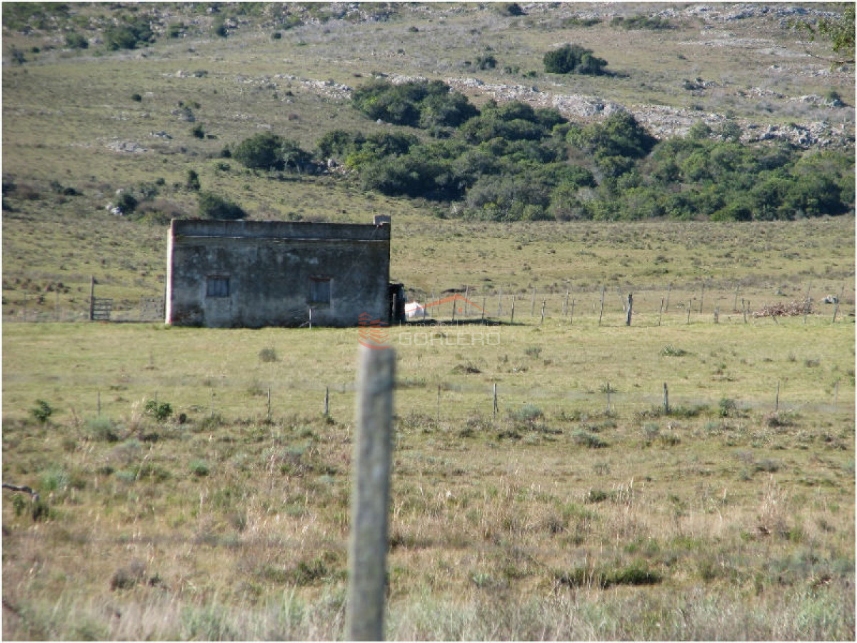 Campo en Venta en  Maldonado - GoPunta - Portal Inmobiliario de Punta del Este - Maldonado