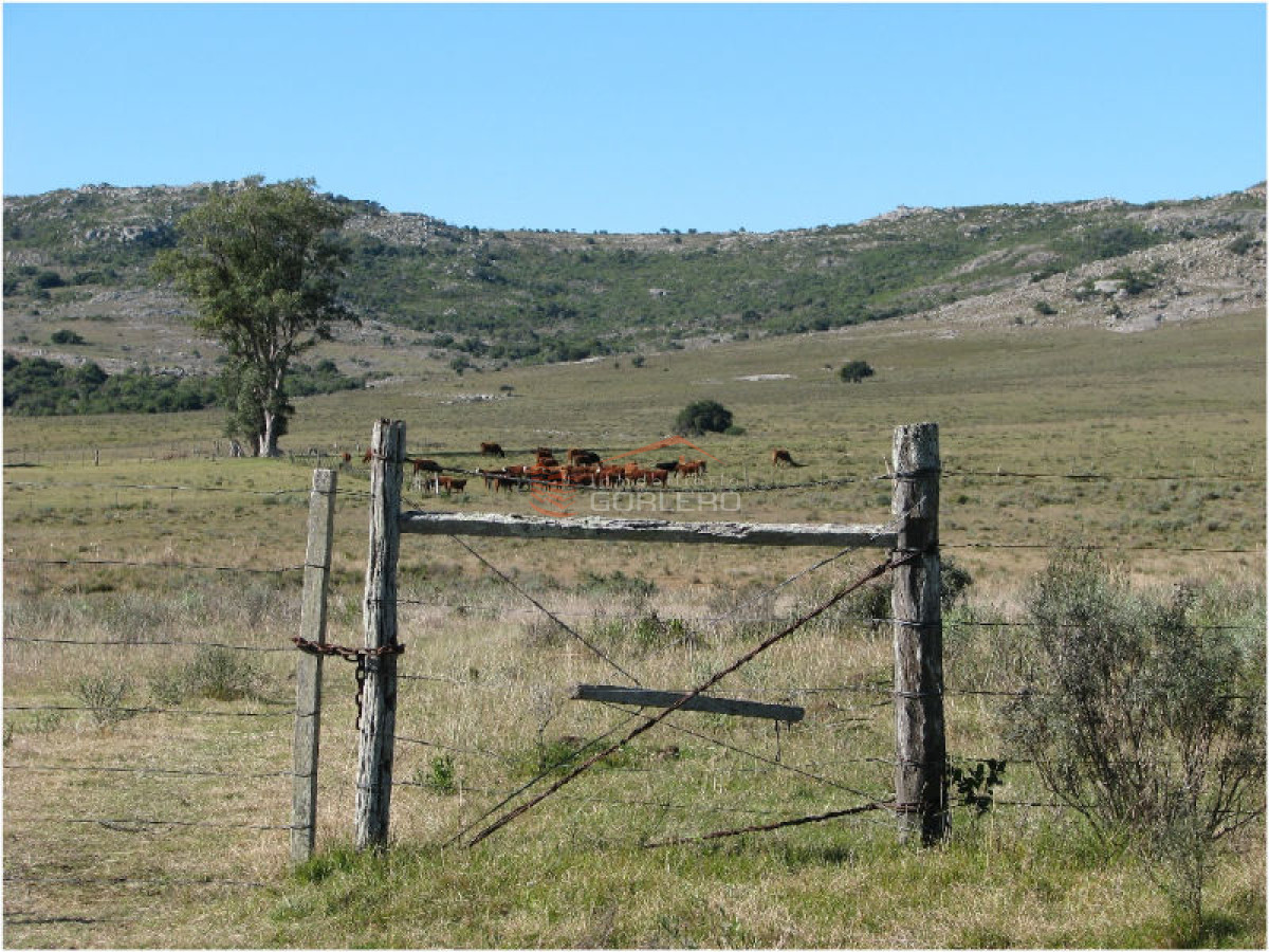 Campo en Venta en  Maldonado - GoPunta - Portal Inmobiliario de Punta del Este - Maldonado