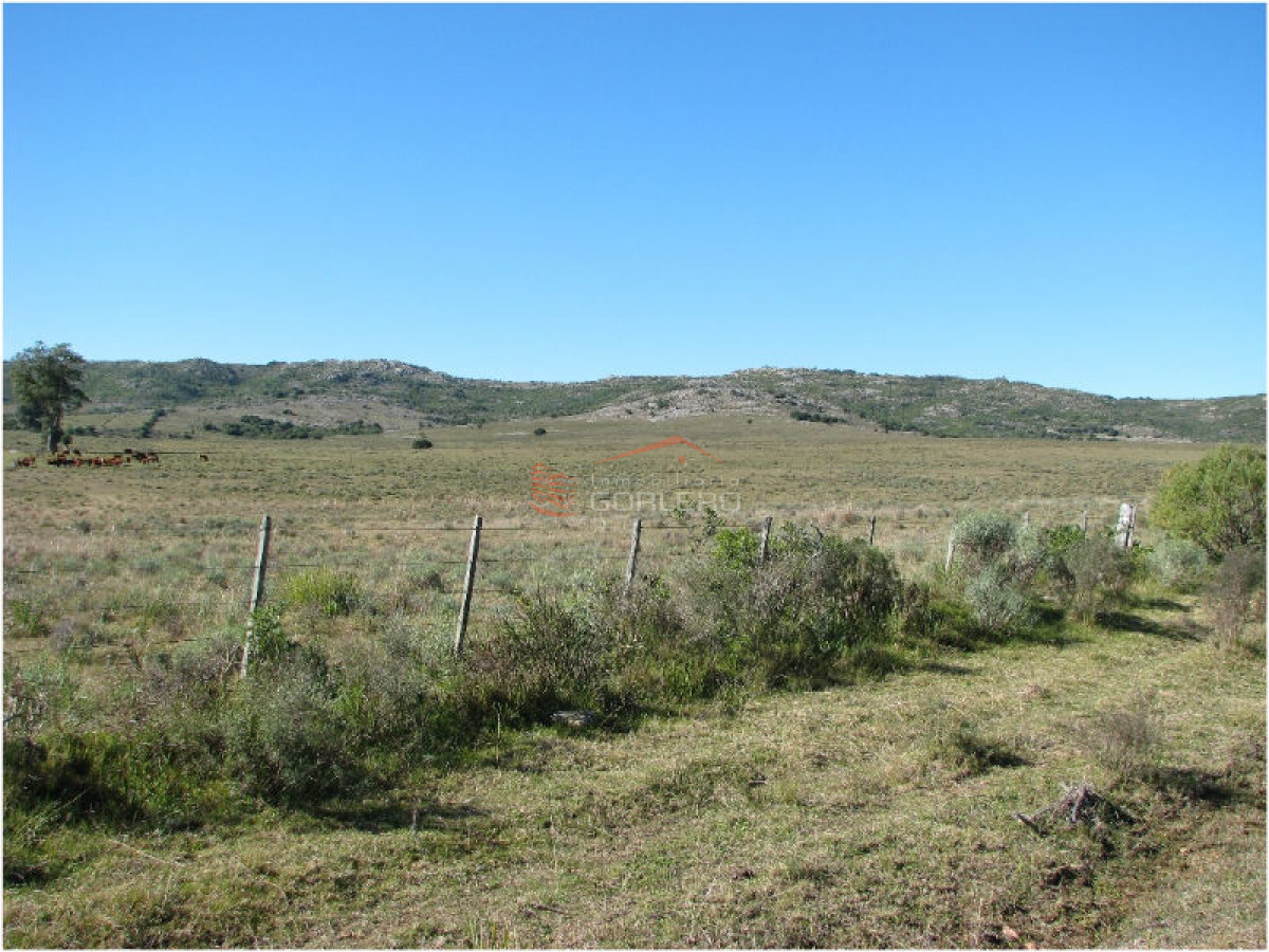 Campo en Venta en  Maldonado - GoPunta - Portal Inmobiliario de Punta del Este - Maldonado