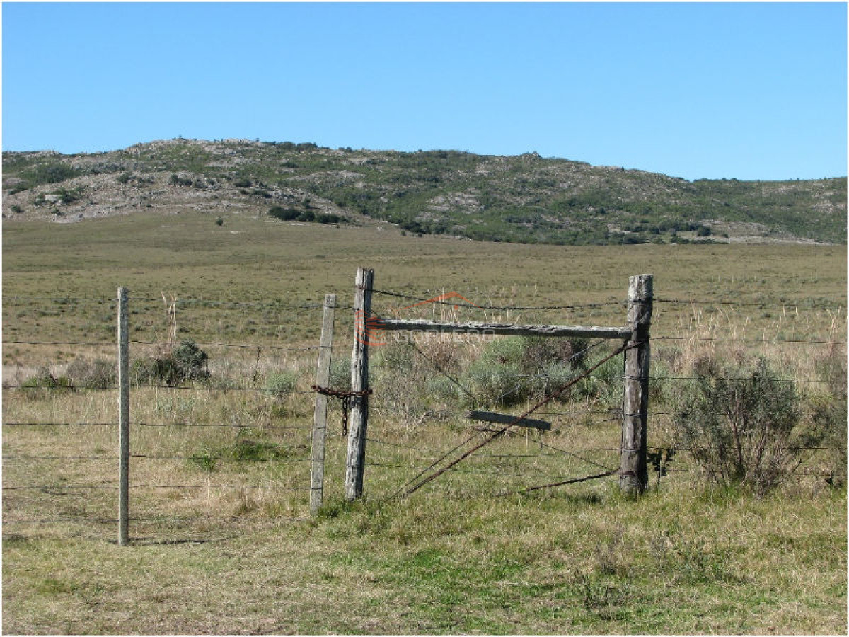 Campo en Venta en  Maldonado - GoPunta - Portal Inmobiliario de Punta del Este - Maldonado