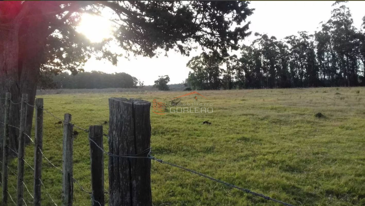 Campo en Uruguay, Maldonado, Solis - GoPunta - Portal Inmobiliario de Punta del Este - Maldonado