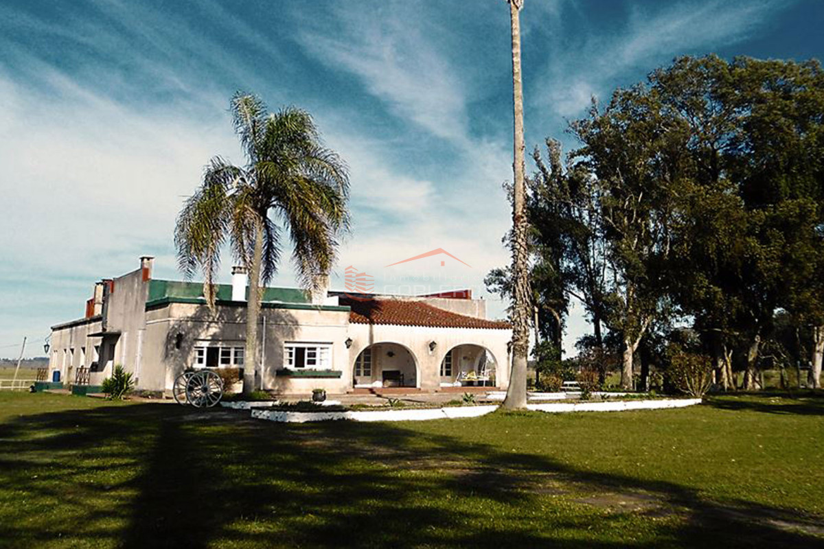 Venta de campo ganadero turístico en Cerro Largo con más de 300 hás - GoPunta - Portal Inmobiliario de Punta del Este - Maldonado