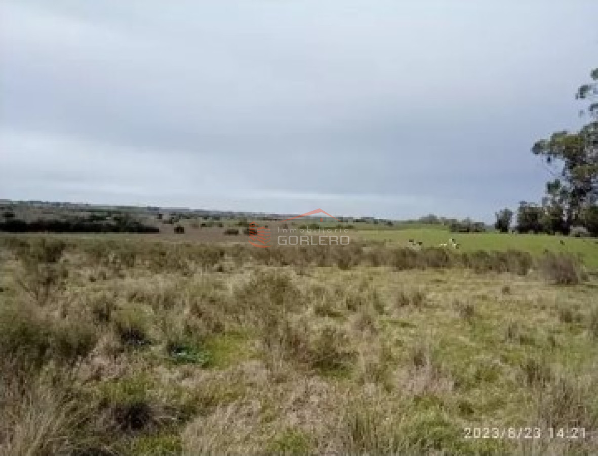 Venta de 70 has campo  en Canelones, - GoPunta - Portal Inmobiliario de Punta del Este - Maldonado