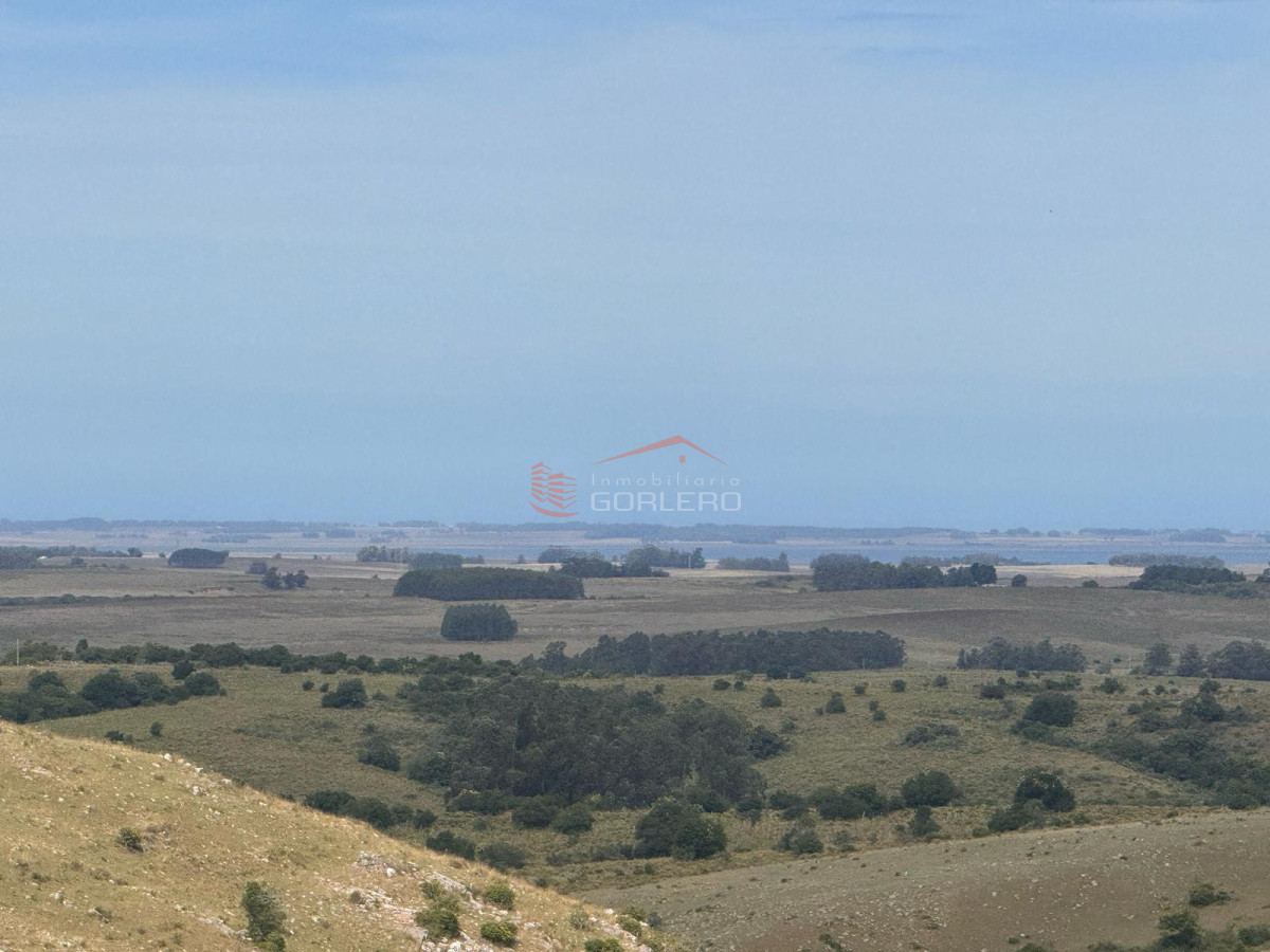 ROCHA Campo con 32 hás a pocos km de la ciudad y de Garzón - GoPunta - Portal Inmobiliario de Punta del Este - Maldonado