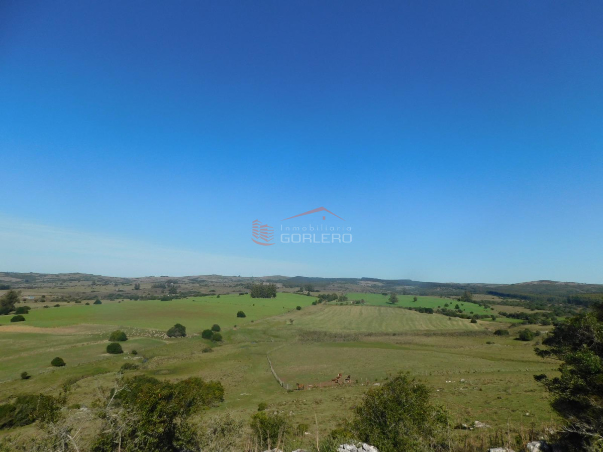 Venta de Campo en Ruta 12 próximo a Pueblo Edén 270 hás - GoPunta - Portal Inmobiliario de Punta del Este - Maldonado