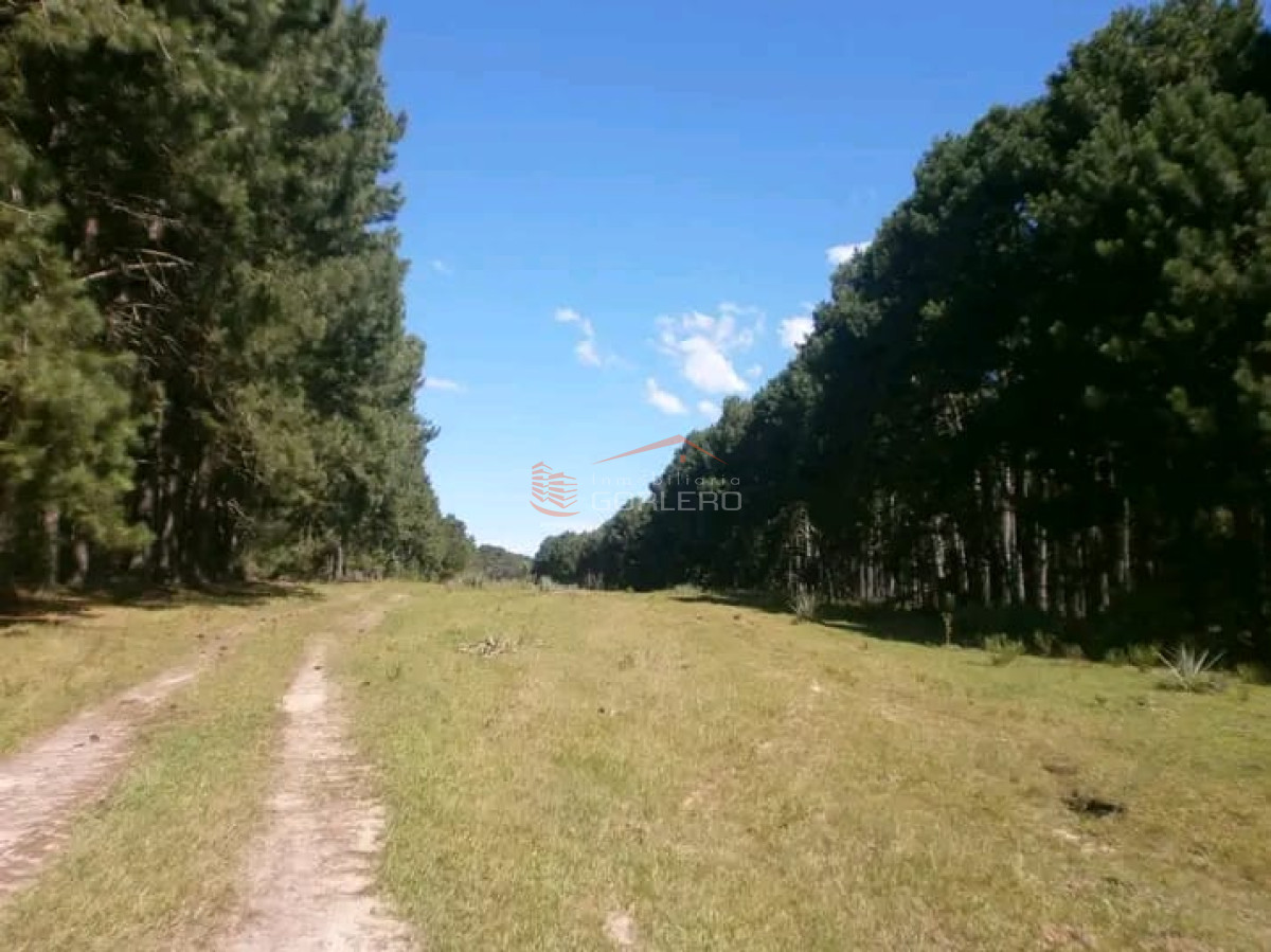 Venta de 38 hás sobre la costa de Rocha - GoPunta - Portal Inmobiliario de Punta del Este - Maldonado