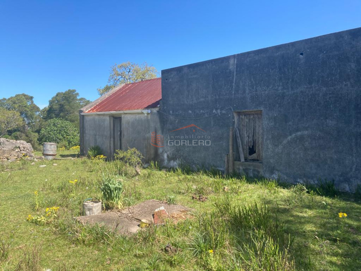 Venta de Campo en Rocha 127 has campo ganadero - GoPunta - Portal Inmobiliario de Punta del Este - Maldonado
