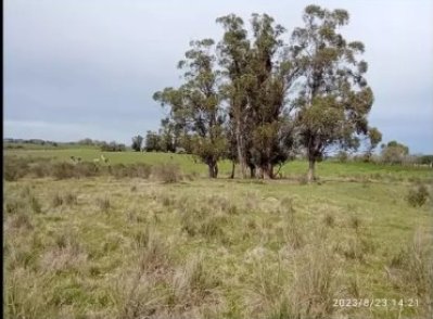 Venta de 70 has campo  en Canelones,